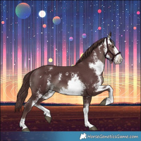 Horse Color:Chocolate Black Sabino 