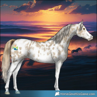 Horse Color:Classic Cream Champagne Sabino Appaloosa 