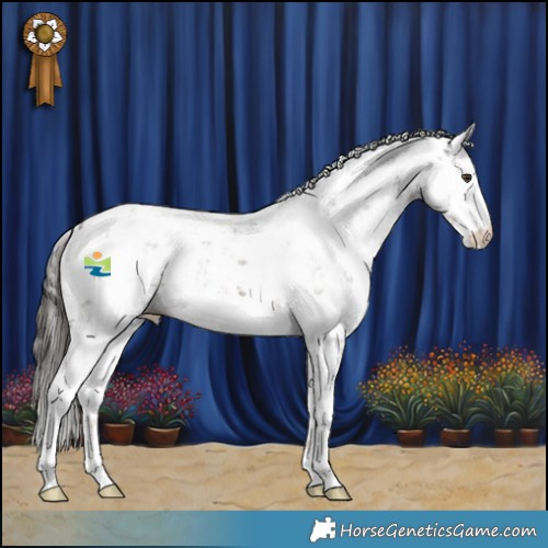 Horse Color:Liver Chestnut Sabino