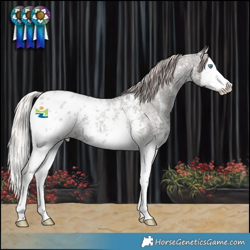 Horse Color:Silver Blue Roan Sabino Splash Blanket 