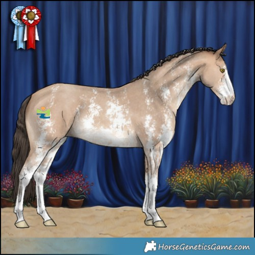 Horse Color:Amber Champagne Sabino 