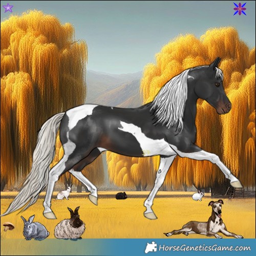 Horse Color:Liver Chestnut Mushroom Tobiano 