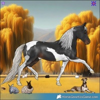 Horse Color:Liver Chestnut Mushroom Tobiano