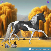 Horse Color:Liver Chestnut Mushroom Tobiano 