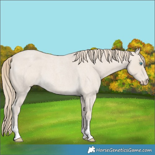 Horse Color:Smoky Creme Roan