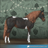 Horse Color:Liver Chestnut Tobiano 
