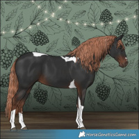 Horse Color:Liver Chestnut Tobiano 