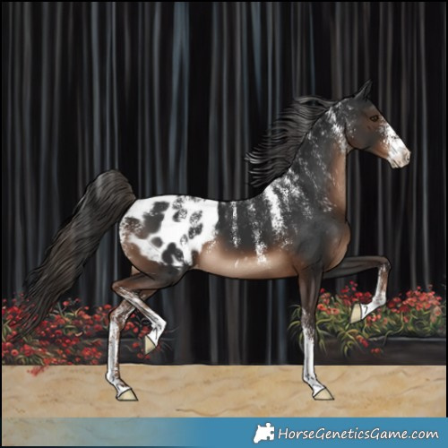 Horse Color:Powder White Liver Chestnut Varnish 