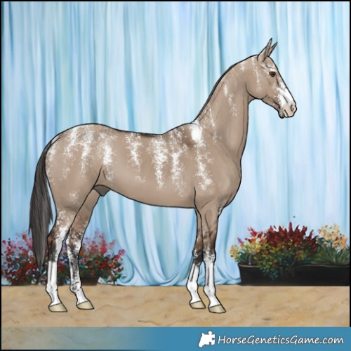 Horse Color:Powder White Liver Red Dun 