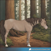 Horse Color:Classic Champagne