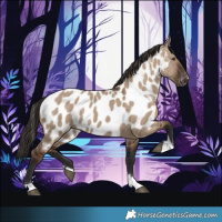 Horse Color:Liver Red Dun Tobiano Near Leopard 