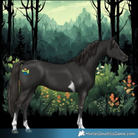 Horse Color:Liver Chestnut Tobiano 