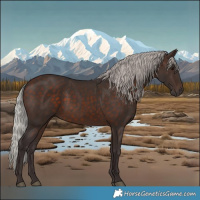 Horse Color:White Spotted Silver Brown 
