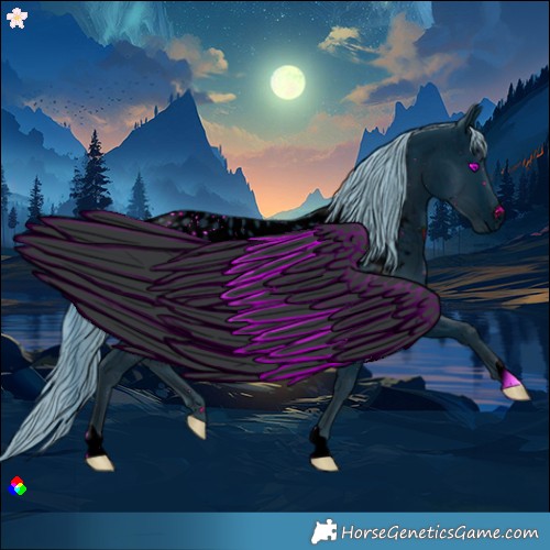 Horse Color:ERROR: UNKNOWN ANOMALY