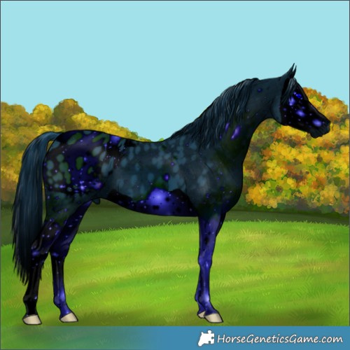 Horse Color:ERROR: UNKNOWN ANOMALY
