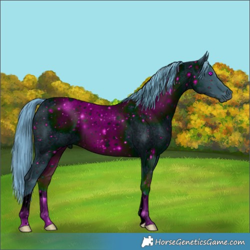 Horse Color:ERROR: UNKNOWN ANOMALY
