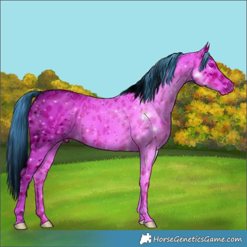 Horse Color:ERROR: UNKNOWN ANOMALY