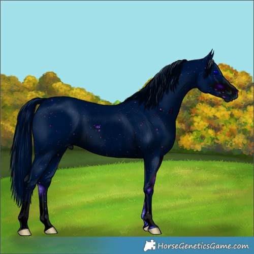 Horse Color:ERROR: UNKNOWN ANOMALY