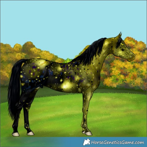 Horse Color:ERROR: UNKNOWN ANOMALY