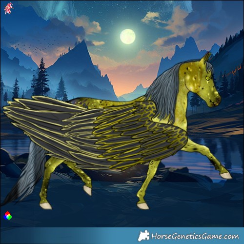 Horse Color:ERROR: UNKNOWN ANOMALY