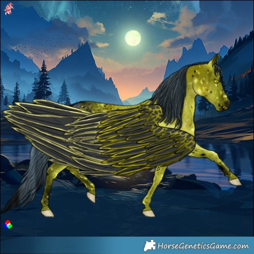 Horse Color:ERROR: UNKNOWN ANOMALY