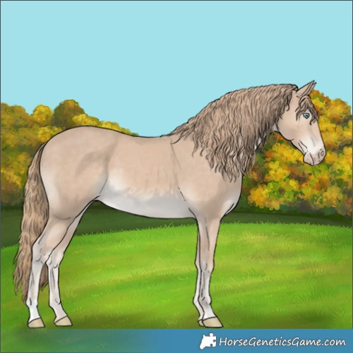 Horse Color:Smoky Creme 