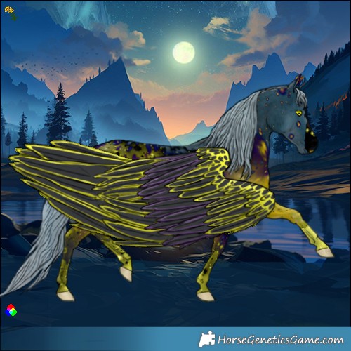 Horse Color:ERROR: UNKNOWN ANOMALY