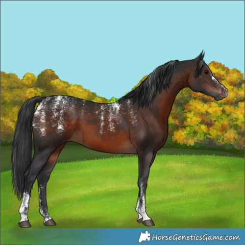 Horse Color:Powder White Brown 