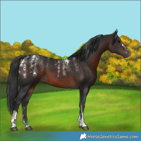 Horse Color:Powder White Brown 