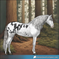 Horse Color:Black Blanket 