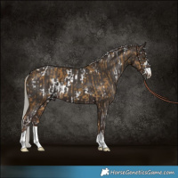 Horse Color:White Spotted Chocolate Palomino Dun and Silver Black