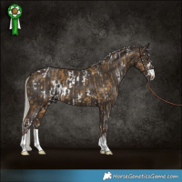 Horse Color:White Spotted Chocolate Palomino Dun and Silver Black