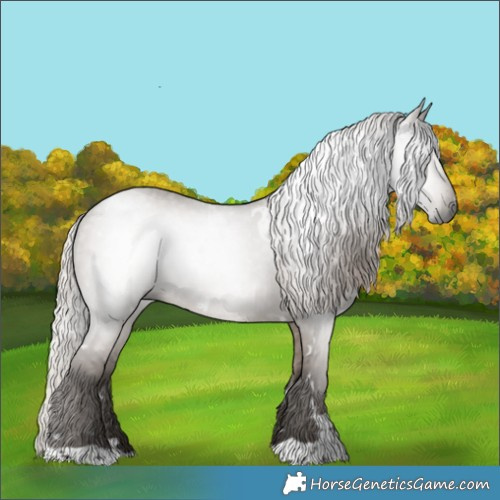 Horse Color:Gray White Spotted Silver Grullo 