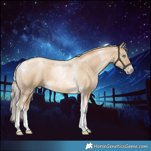 Horse Color:Chocolate Palomino Pearl Dun Tobiano 