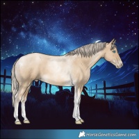 Horse Color:Chocolate Palomino Pearl Dun Tobiano