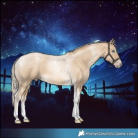 Horse Color:Chocolate Palomino Pearl Dun Tobiano