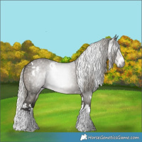 Horse Color:Gray White Spotted Silver Smoky Grullo Splash 