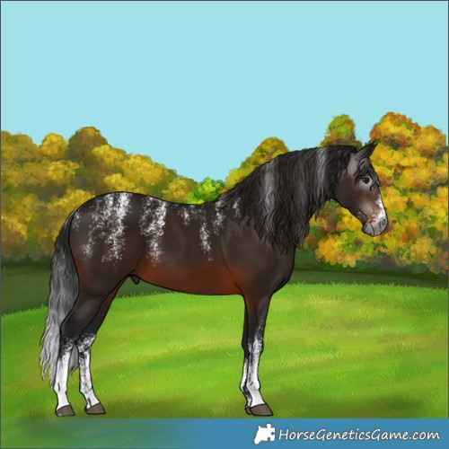 Horse Color:Powder White Gray Brown 
