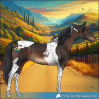 Horse Color:Brown Tobiano 