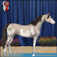 Horse Color:Liver Red Dun Sabino 