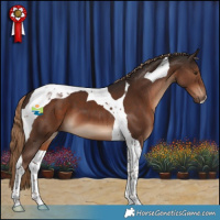 Horse Color:Liver Chestnut Tobiano 