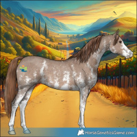 Horse Color:Liver Red Dun Sabino 