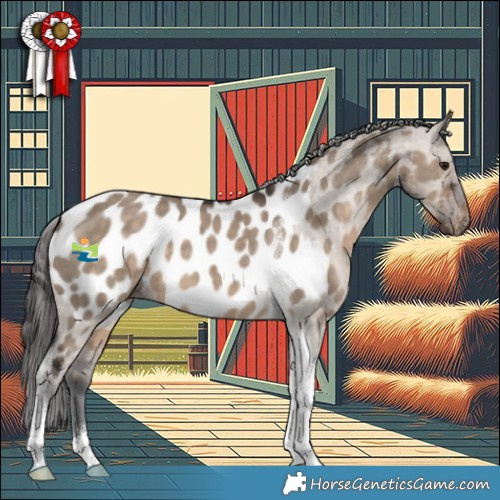 Horse Color:Brown Dun Tobiano Appaloosa 