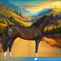 Horse Color:Liver Chestnut