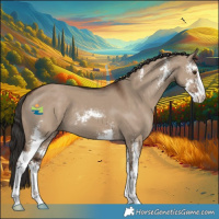 Horse Color:Liver Red Dun Sabino 