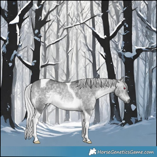 Horse Color:Silver Brown Chinchilla Dun Tobiano