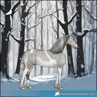 Horse Color:Silver Brown Chinchilla Dun Tobiano 