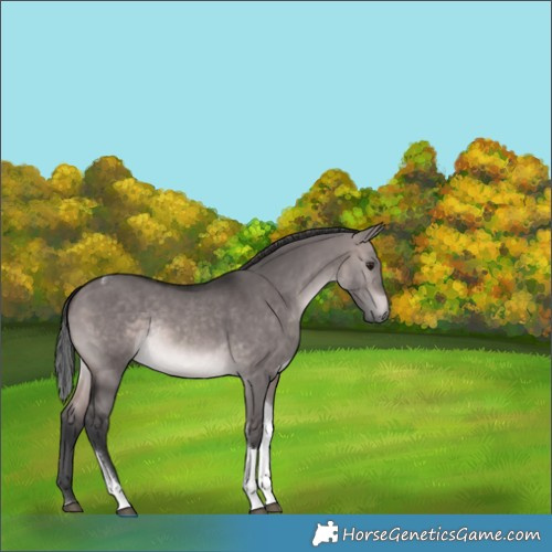 Horse Color:Platinum Brown Dun Tobiano Rabicano 