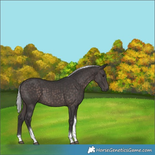 Horse Color:Platinum Silver Brown Tobiano 