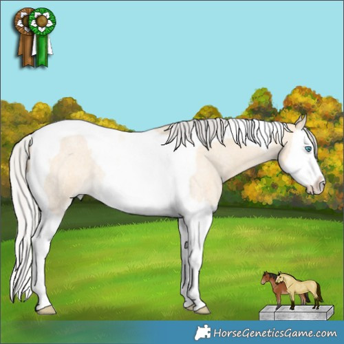 Horse Color:Silver Buckskin Roan Splash Tobiano 